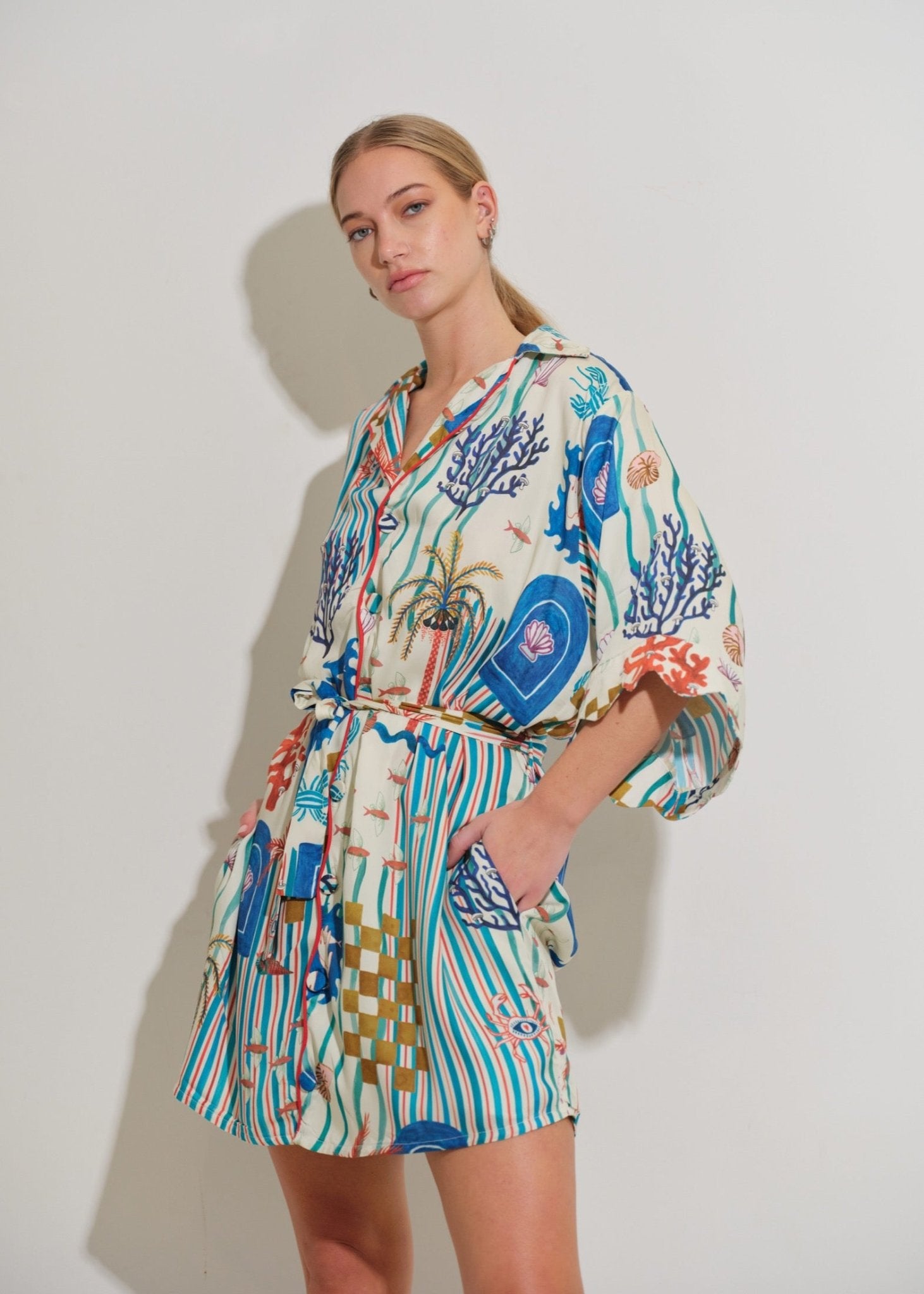 Asha 11 Mbau Dress - Tides hands in pockets